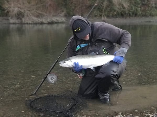 Ardent Angling Newsletter is here